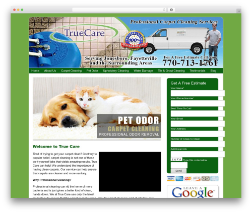 Catalyst WordPress theme - truecarecarpetcleaners.com
