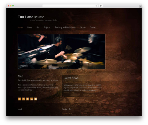 Dynamik theme WordPress - timlanemusic.com