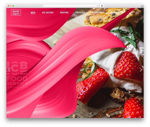 Kenozoik core WordPress plugin - radebach.com