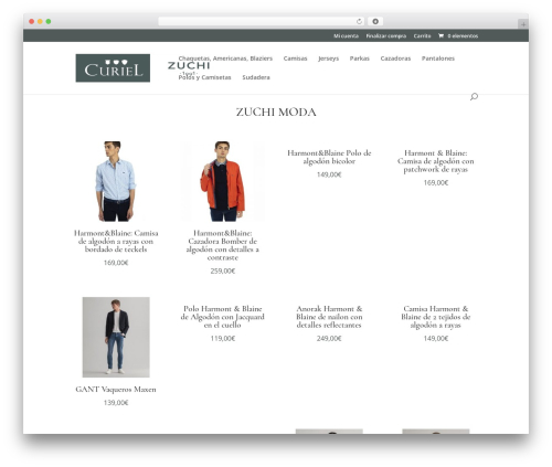 Theme WordPress Divi - curielyzuchi.com