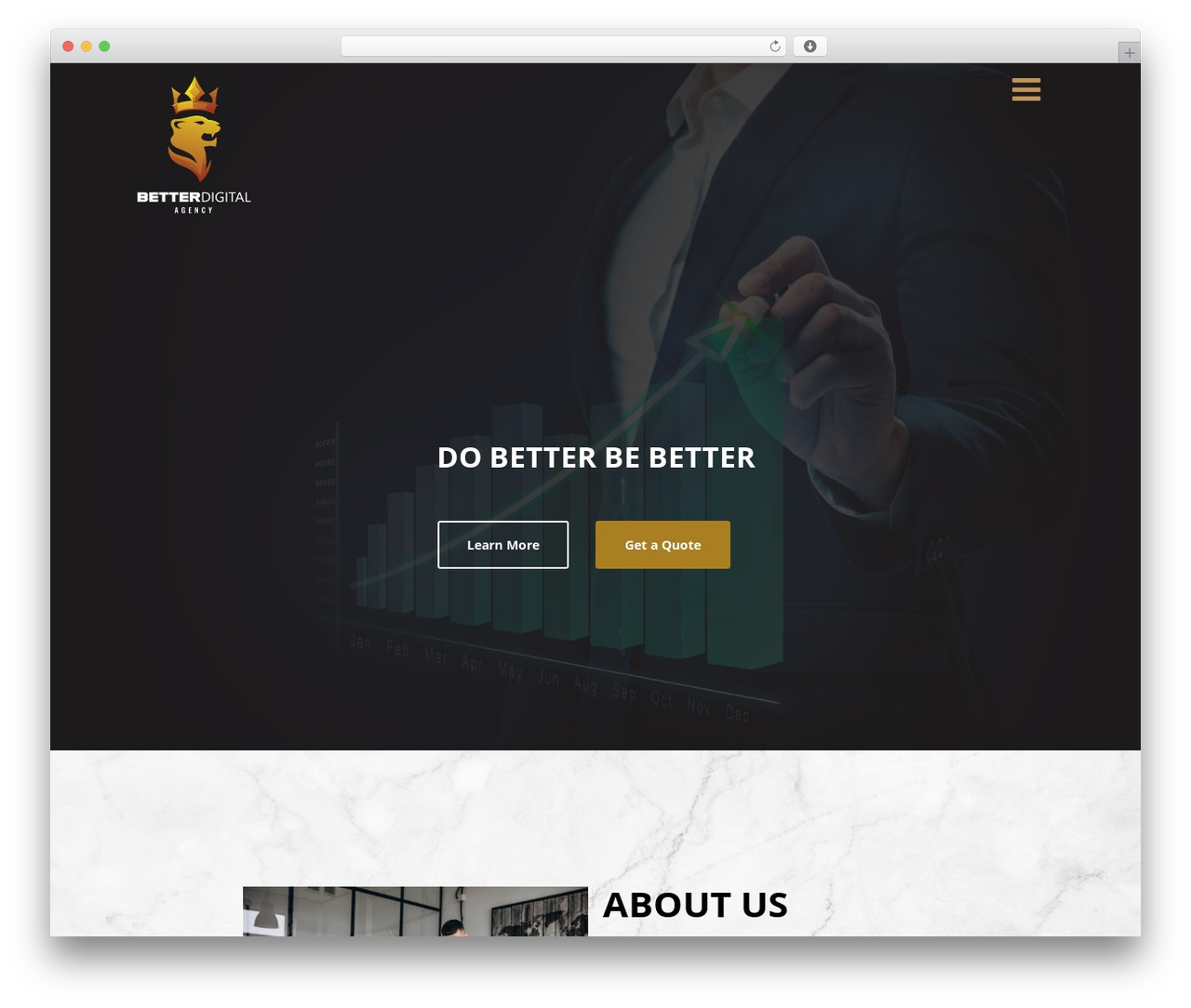 Theme WordPress Optimizer PRO - betterdigitalagency.com