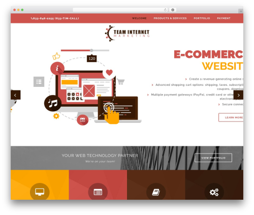 TIM WP theme - teaminternetmarketing.com