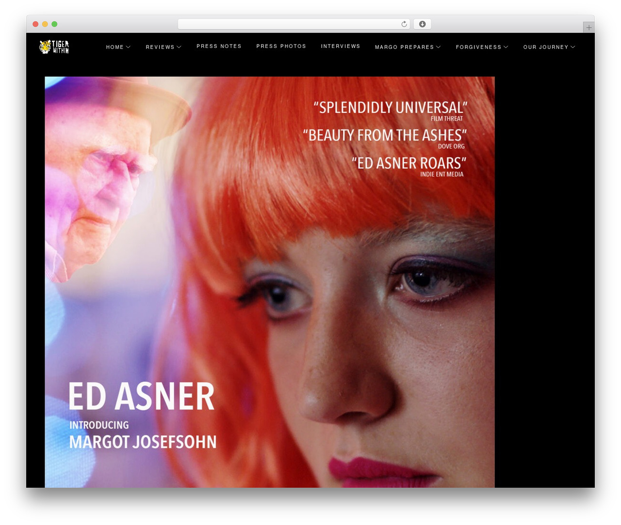 WordPress theme Comet WP - tigerwithin.info WordPress theme Comet WP - tigerwithin.info