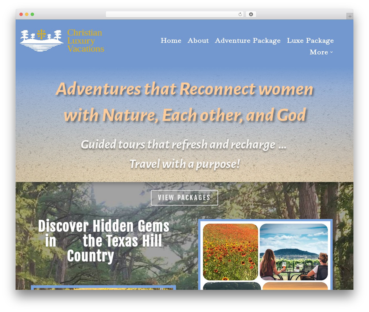 WordPress theme Divi - christianluxuryvacations.com