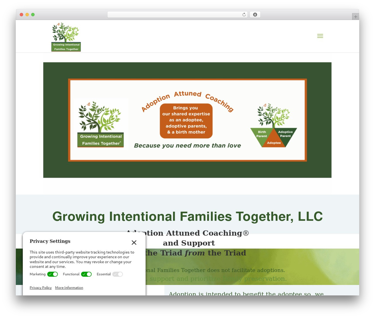 WordPress theme Divi - giftfamilyservices.com