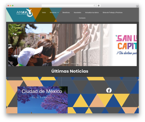 Restricted content WordPress plugin - amavmexico.mx