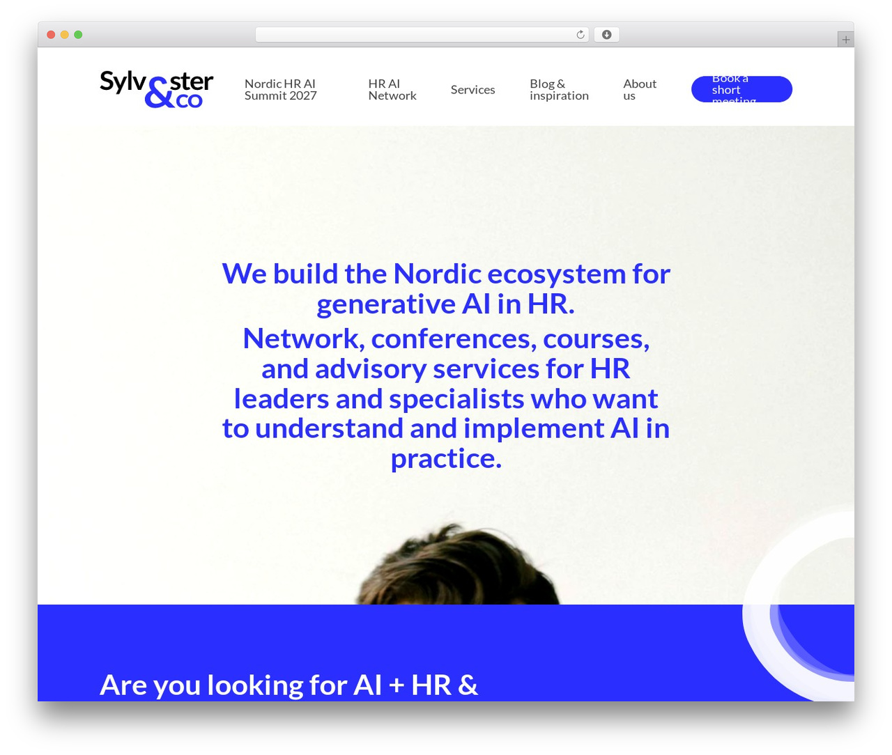 Salient theme WordPress - www.sylvester-co.dk Salient theme WordPress - www.sylvester-co.dk