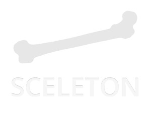 Sceleton WordPress theme by Jonathan de Jong @ Tigerton