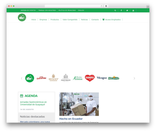 Dzs videogallery WordPress plugin - ile.com.ec