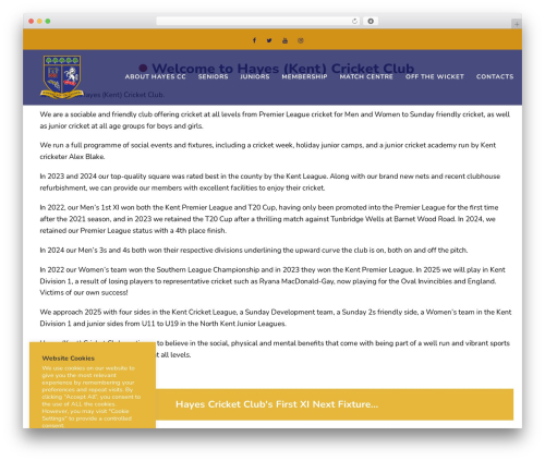 WordPress website theme BigSlam - hayescricket.com