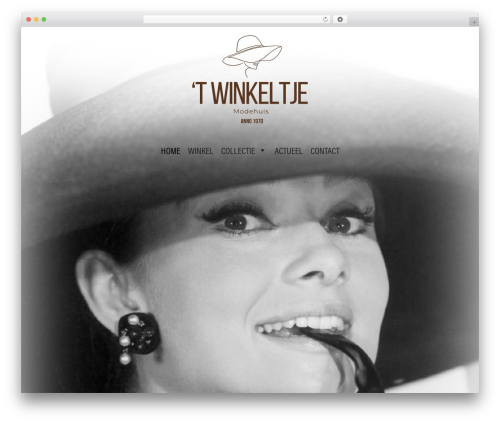 Silvertheme WordPress theme - twinkeltje-sgravenmoer.nl
