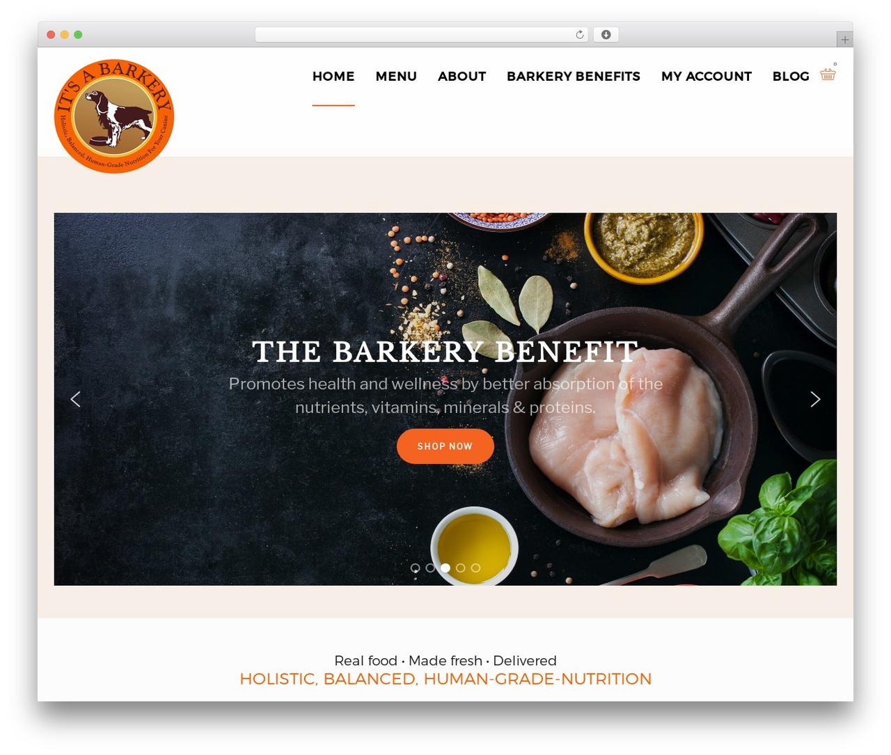 Theme WordPress Nayax - itsabarkery.com Theme WordPress Nayax - itsabarkery.com