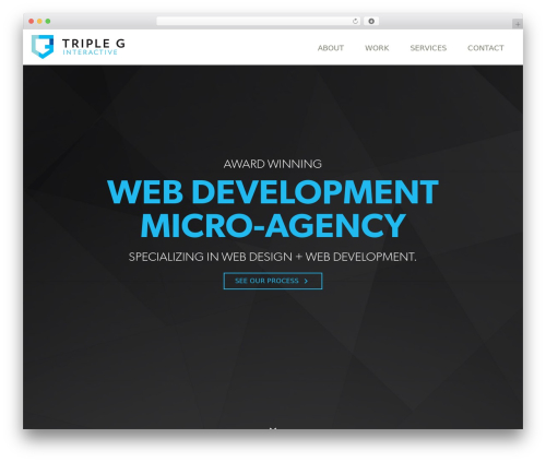 TRIPLE G INTERACTIVE WordPress theme - tripleginteractive.com
