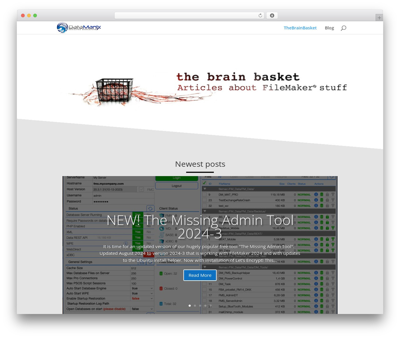 WordPress theme Divi - thebrainbasket.com WordPress theme Divi - thebrainbasket.com