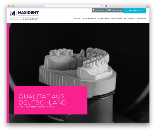 Newsletter Sign-Up for CleverReach (cleverreach) free WordPress plugin - maxident.de
