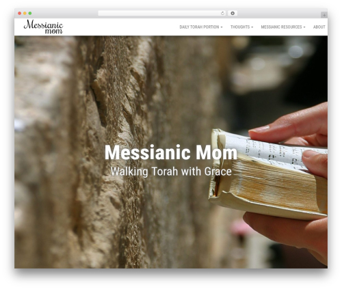 Bulk WordPress theme - messianicmom.com