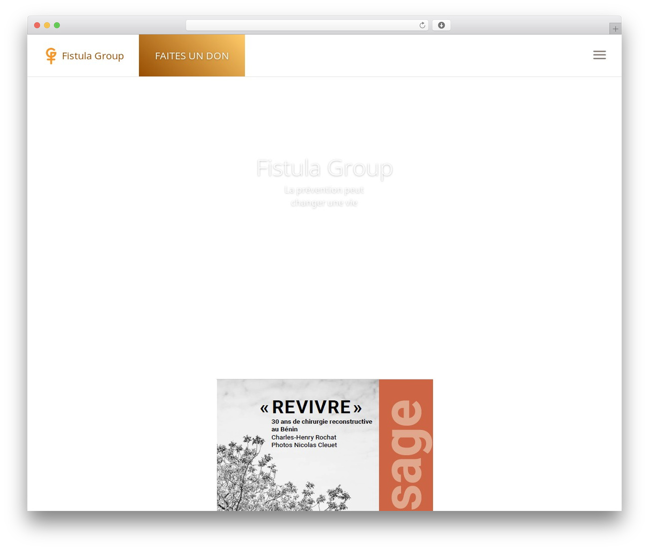 Divi WordPress theme - fistula-group.ch