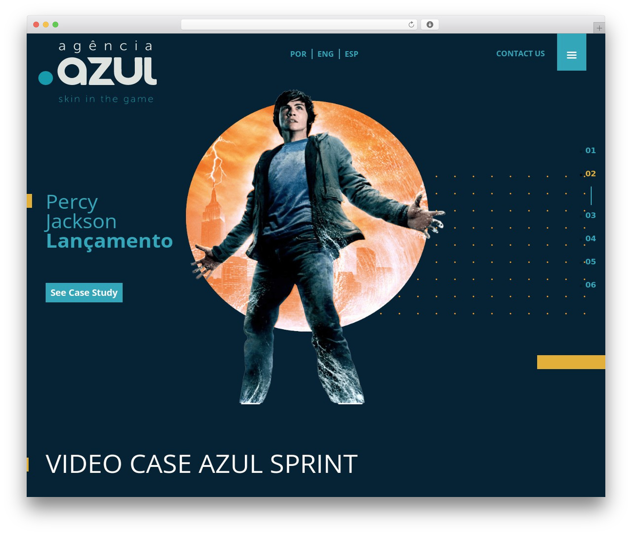 LR-Developer theme WordPress - agenciaazul.com.br