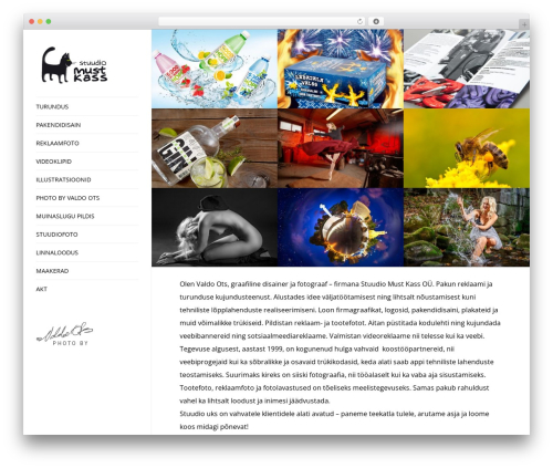 Optimizer PRO WordPress website theme - mustkass.ee