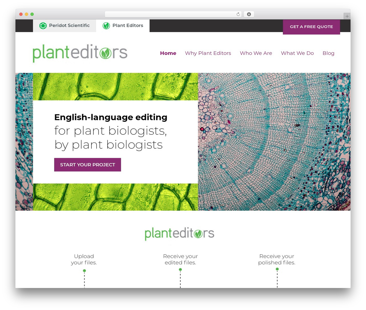 Theme WordPress Beaver Builder Child Theme - planteditors.com Theme WordPress Beaver Builder Child Theme - planteditors.com