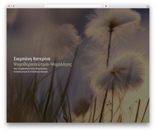 untheme WordPress theme - ccpsychotherapy.eu