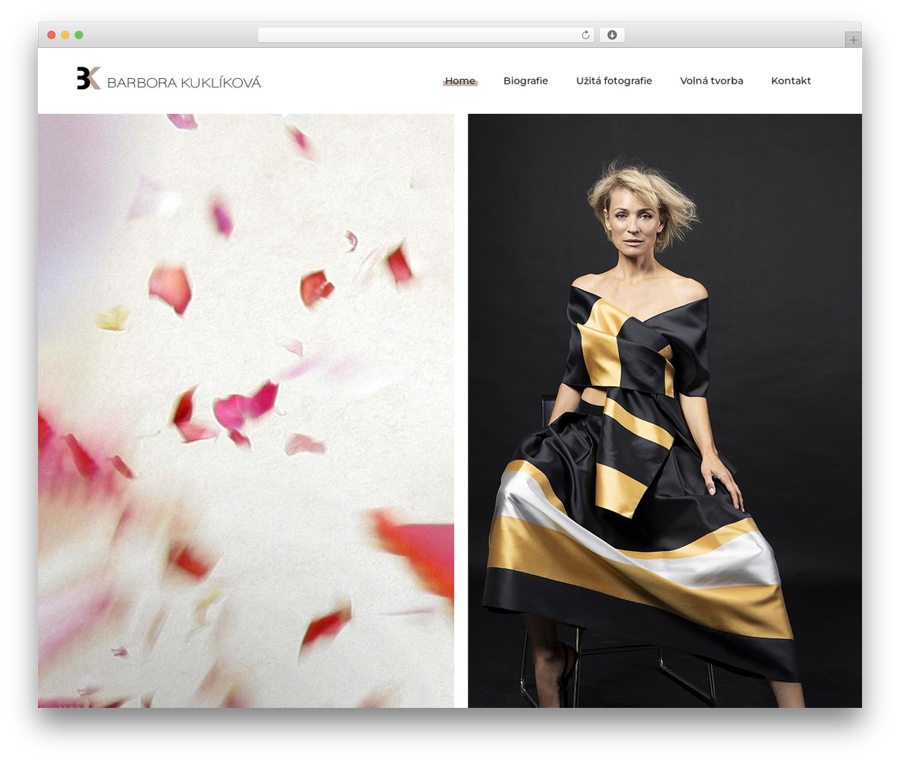 WordPress theme Anders - kuklikova.cz