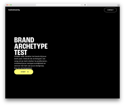 Tw20 plugin WordPress plugin - brandarchetypetest.com