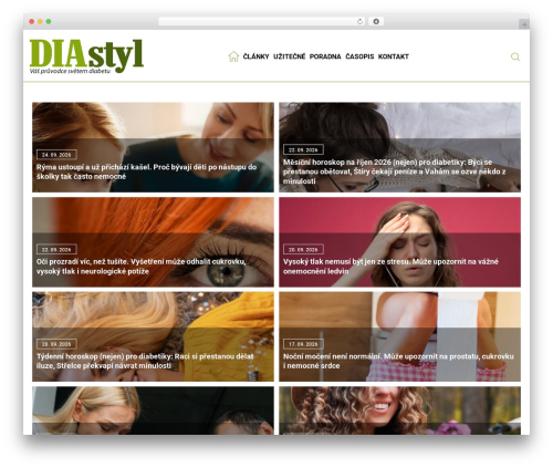 Seznam ads WordPress plugin - diastyl.cz