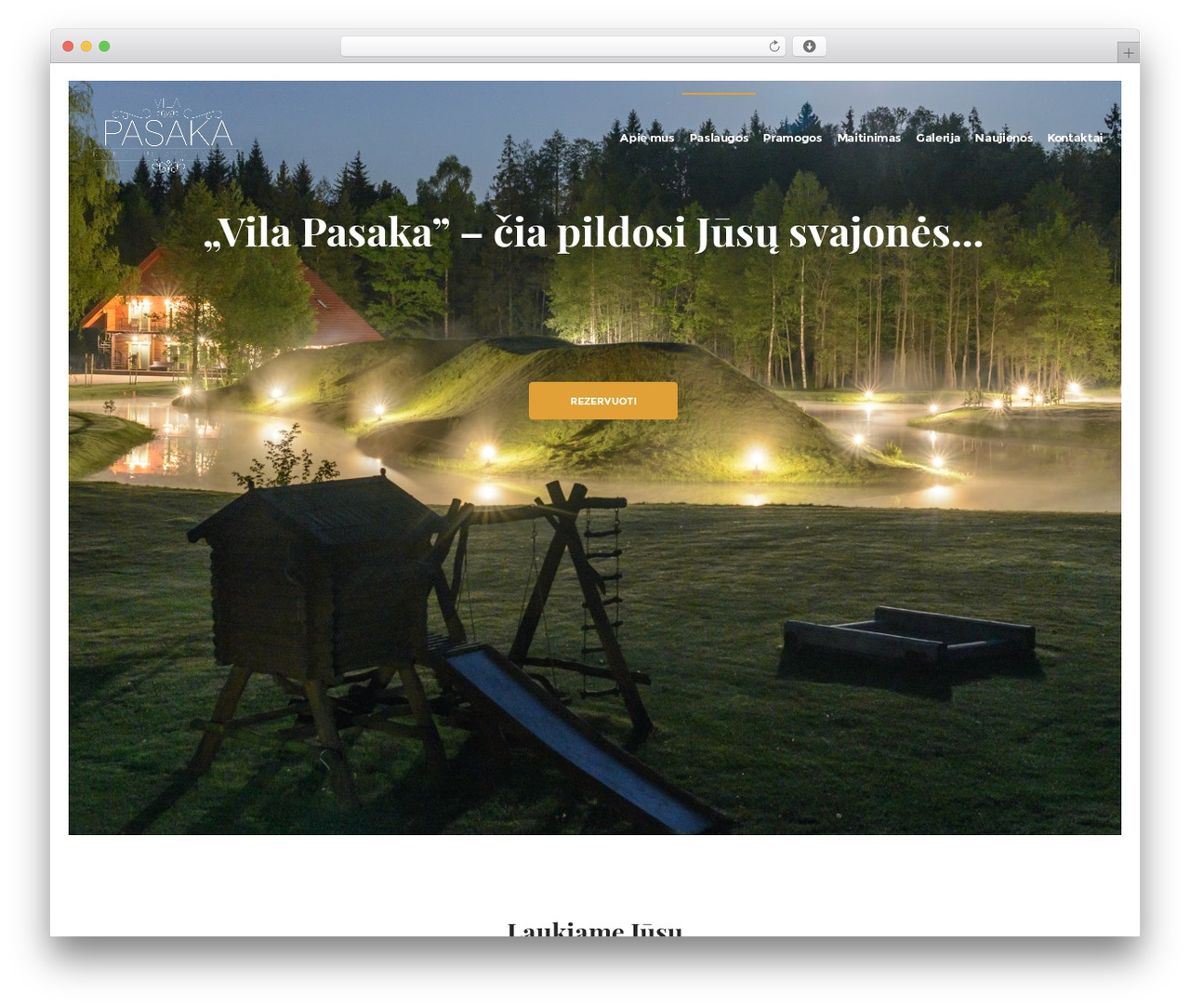 DFD Native WordPress theme - vilapasaka.lt DFD Native WordPress theme - vilapasaka.lt