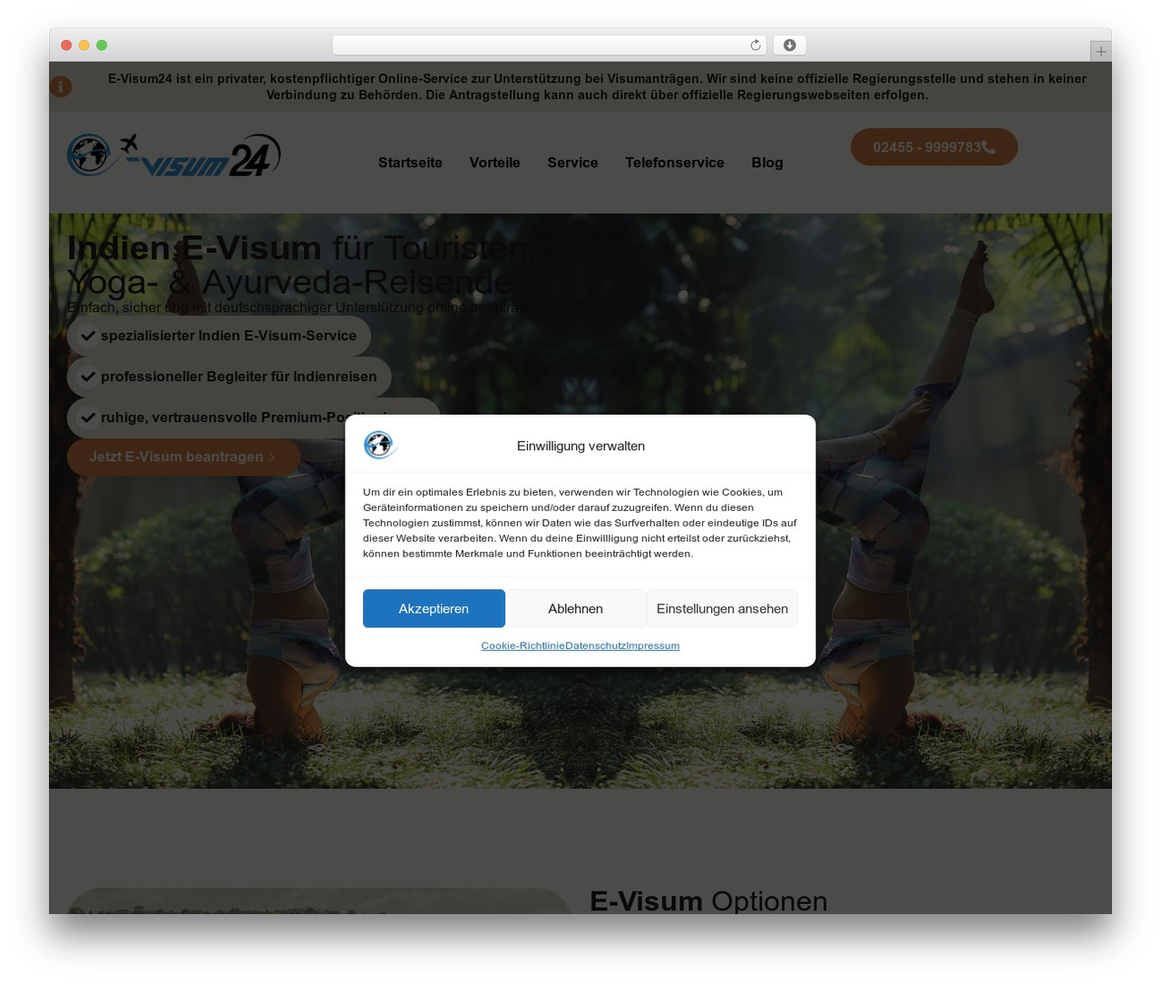Hello Elementor WordPress theme - e-visum24.de