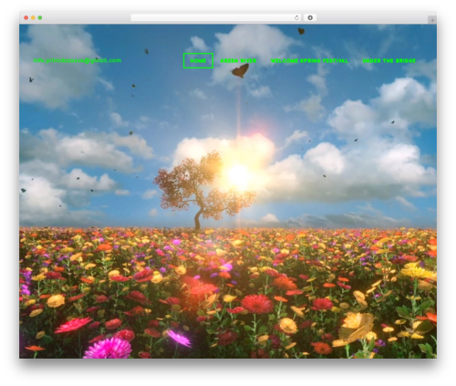 Inavii social feed for elementor WordPress plugin - prirodazasve.eu
