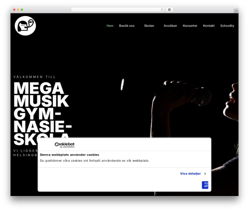 CMS cmsvrx system WordPress theme - megamusik.se