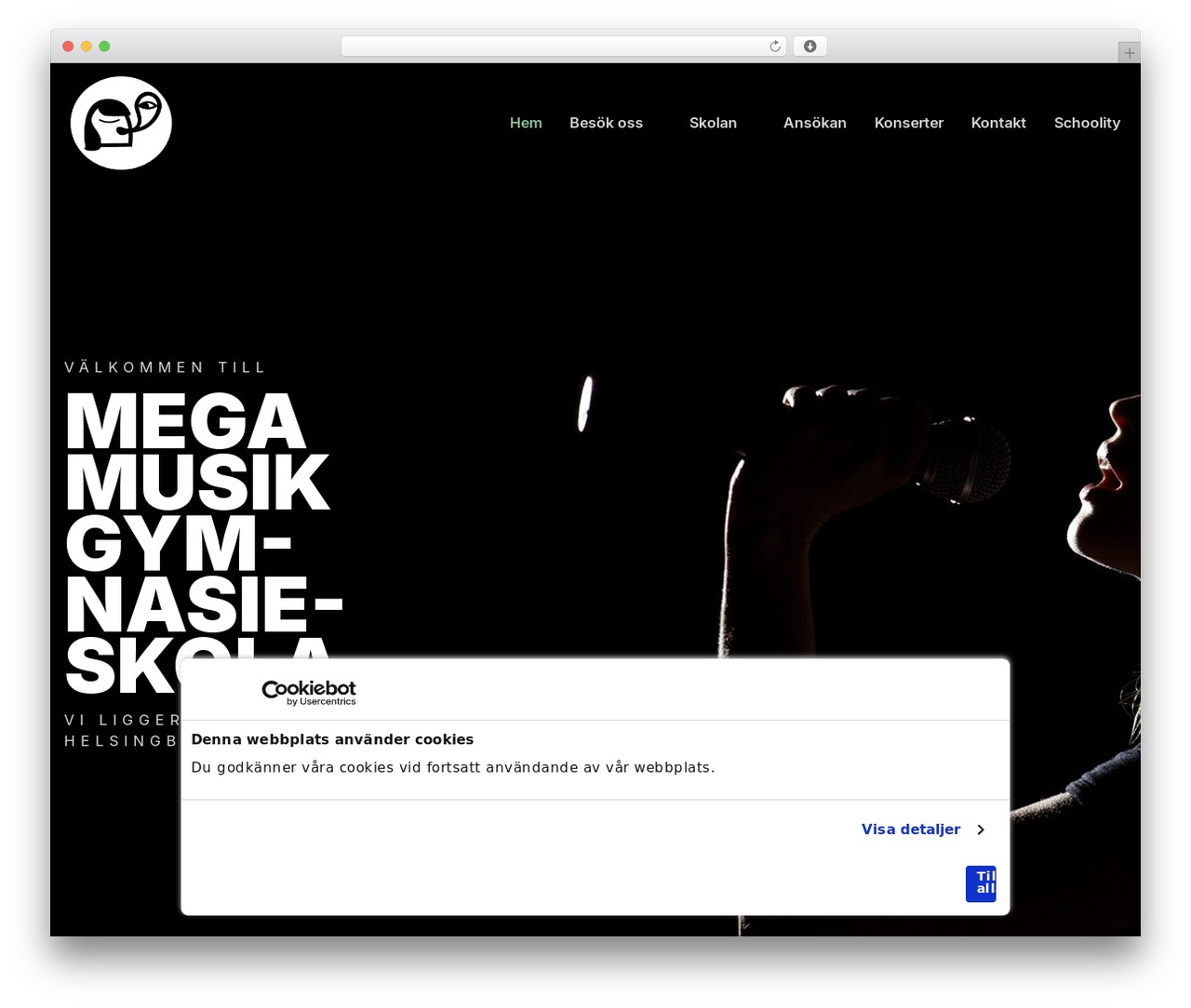 CMS cmsvrx system WordPress theme - megamusik.se CMS cmsvrx system WordPress theme - megamusik.se