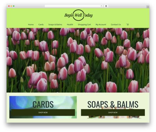 DynamiX WordPress theme - beginwelltoday.com