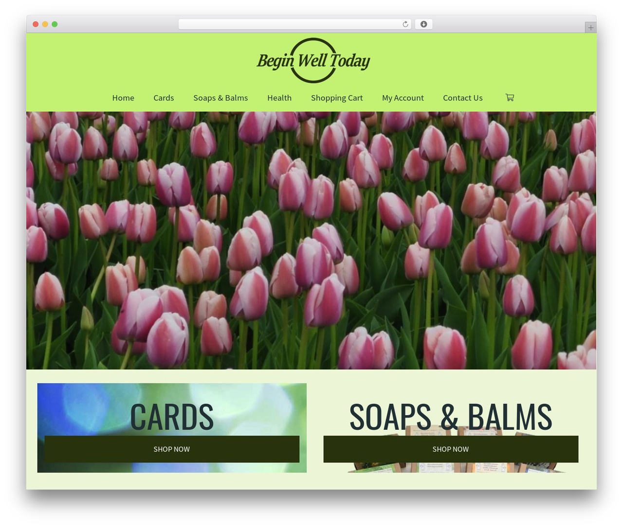 DynamiX WordPress theme - beginwelltoday.com