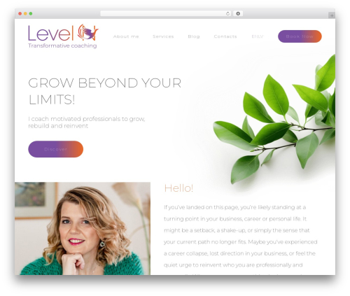 level theme WordPress - levelncoaching.com