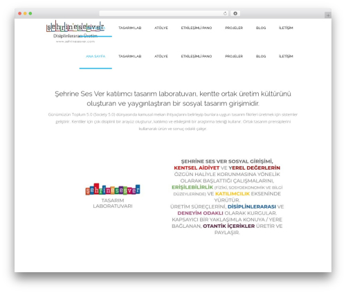 Target WordPress theme - sehrinesesver.com