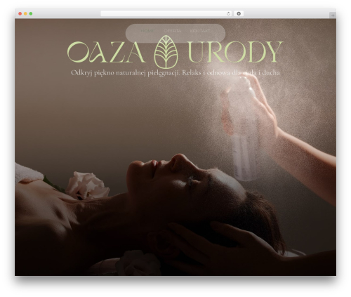 Selection Lite (selection-lite) free WordPress plugin - oazaurody.com