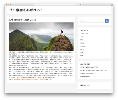 Best WordPress theme NEBlue - radioraicesdf.net