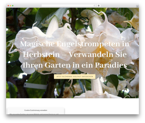 Cm4all wordpress WordPress plugin - monika-gottschalk.de
