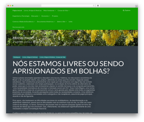 Paperback premium WordPress theme - brasil2049.com