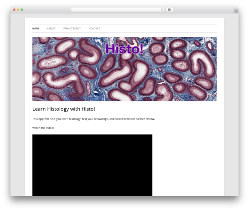 Tiny Framework free WordPress theme - learnhisto.com