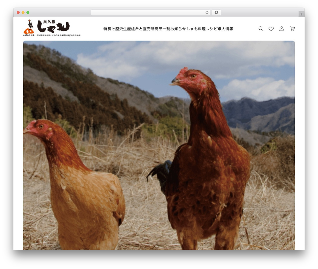 BASARA WordPress page theme - okukuji-shamo.jp BASARA WordPress page theme - okukuji-shamo.jp