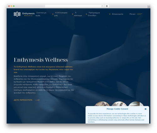 gocreations Custom Theme theme WordPress - enthymesiswellness.gr