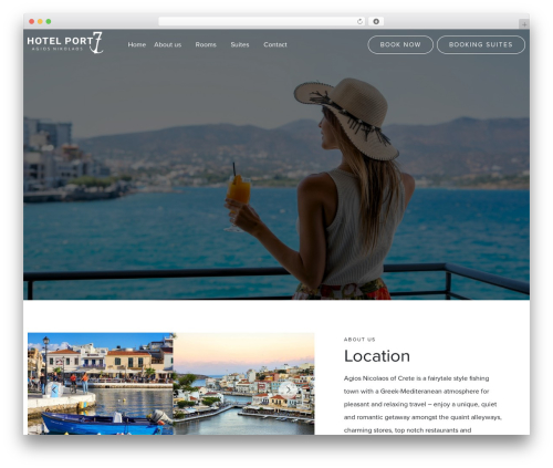Web Expert - Basic Template best hotel WordPress theme - hotelport7.com