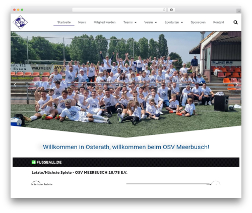 Inavii social feed for elementor WordPress plugin - osv-meerbusch.de