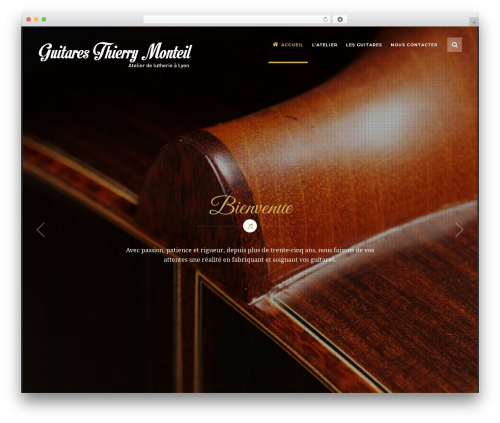 Theme WordPress Risotto - guitares-thierry-monteil.com
