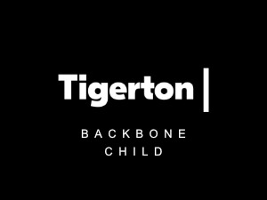 Backbone theme WordPress by Team @ Tigerton