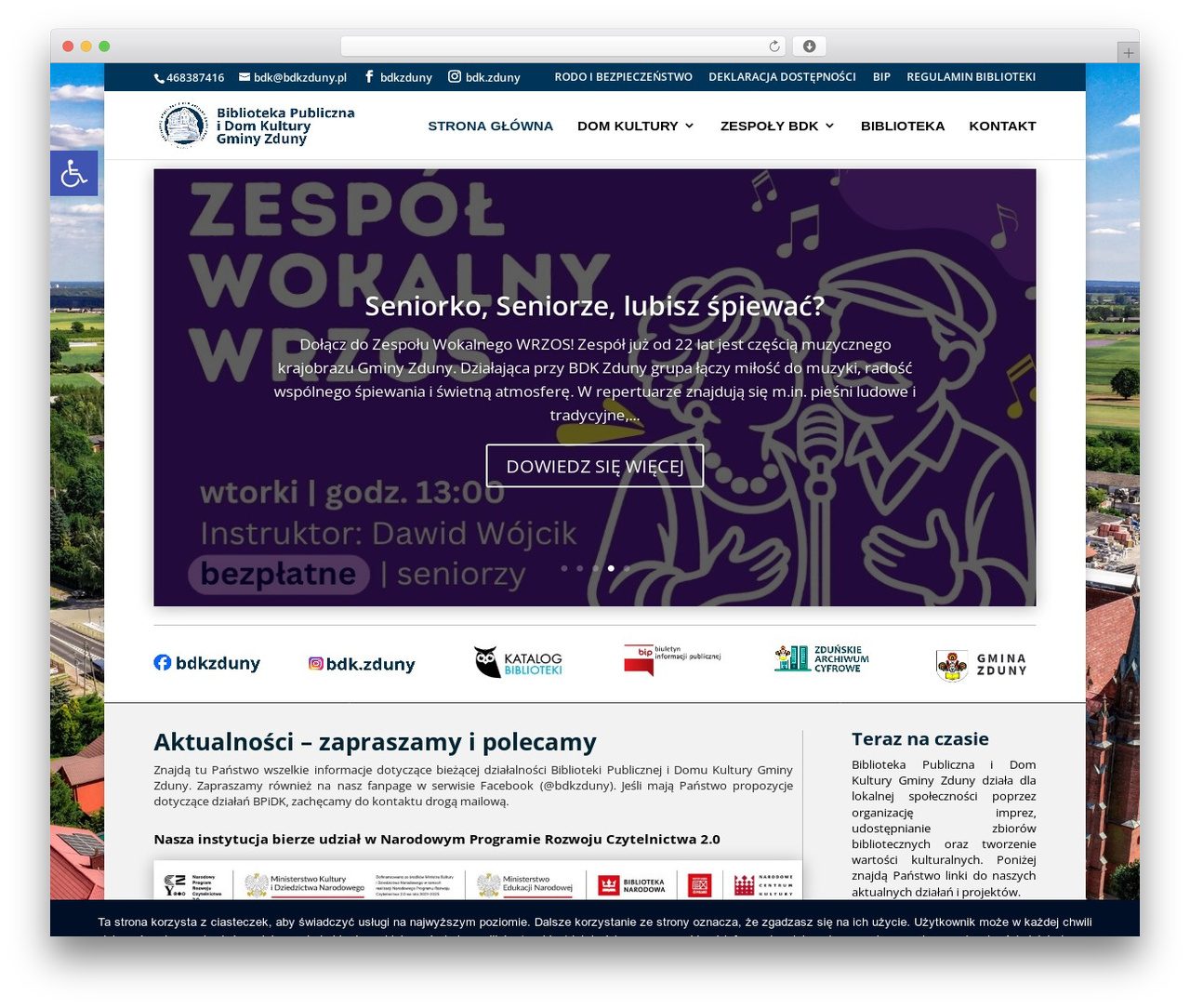 Divi WordPress theme - bdkzduny.pl