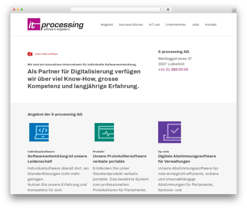Cool timeline pro WordPress plugin - it-processing.ch